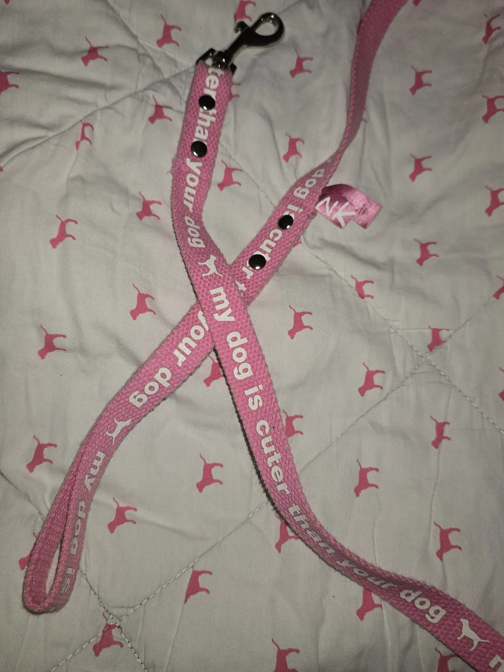 Pink Dog Leash with White Text - 